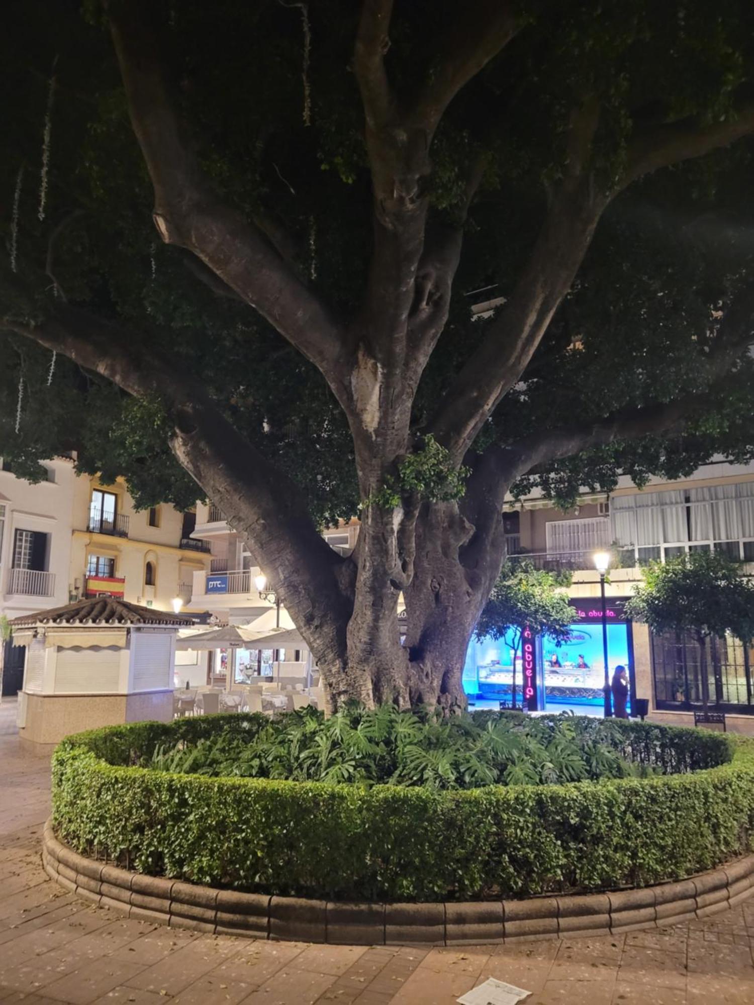 Fuengirola Center Sweet&Beach Dış mekan fotoğraf